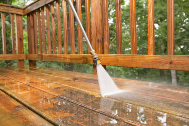 Best Local Pressure Washing Services  in Frankston, TX