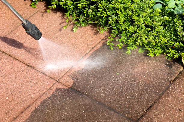 Best Fence Pressure Washing  in Frankston, TX